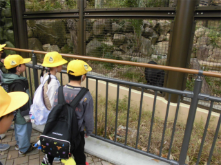 １１月１２日（水）１年校外学習「東山動植物園」