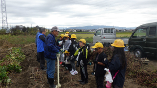 １１月１２日（水）２年いも掘り